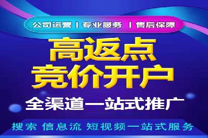 百度竞价代运营的长期效益与价值探讨